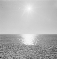 A snow covered beach