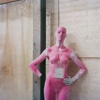 A vivid pink mannequin