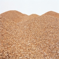 A mound of shingle